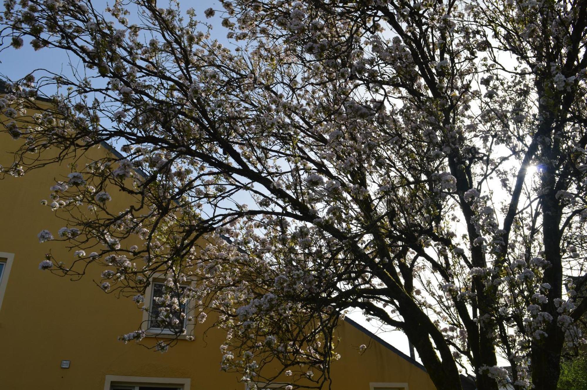 Chez Nous Villa Chiny Buitenkant foto